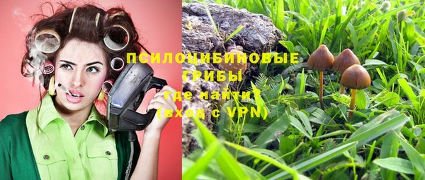 хмурый Армянск
